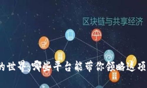 探索区块链的世界：哪些平台能带你领略这项技术的魅力？