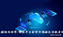 探索区块链的世界：哪些平台能带你领略这项技