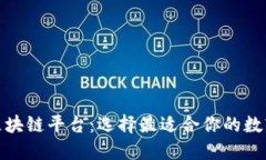 探秘不同区块链平台：选择最适合你的数字资产