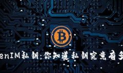 揭秘TokenIM私钥：你知道私钥究竟有多少位吗？