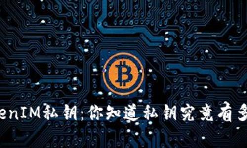 揭秘TokenIM私钥：你知道私钥究竟有多少位吗？