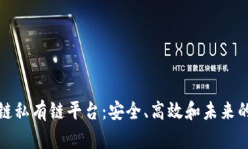 探寻区块链私有链平台：安全、高效和未来的无限可能