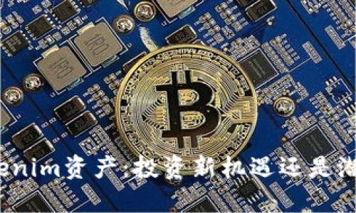 揭秘Tokenim资产：投资新机遇还是潜在风险？