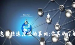 探寻Tokenim钱包转账速度慢的真相：你真的了解背