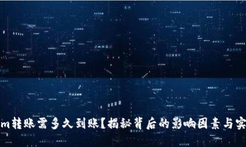 Tokenim转账需多久到账？揭秘背后的影响因素与实操指南