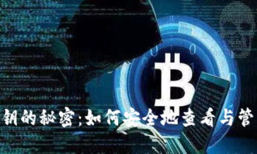 探索Tokenim私钥的秘密：如何安全地查看与管理您的数字资产