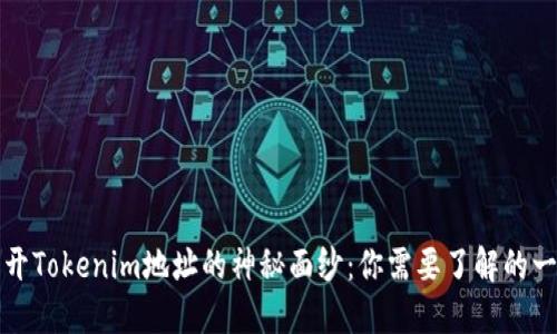 揭开Tokenim地址的神秘面纱：你需要了解的一切