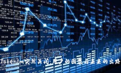 Tokenim突然关闭：用户的困惑与未来的出路