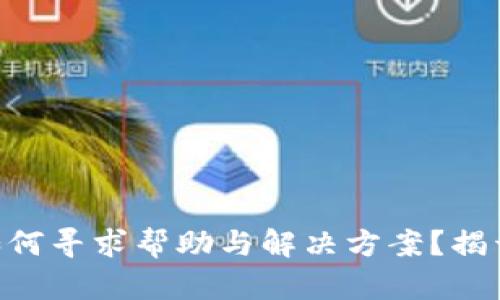 Tokenim被盗后如何寻求帮助与解决方案？揭开保障安全的秘密