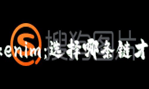 以太坊与Tokenim：选择哪条链才是最佳之路？