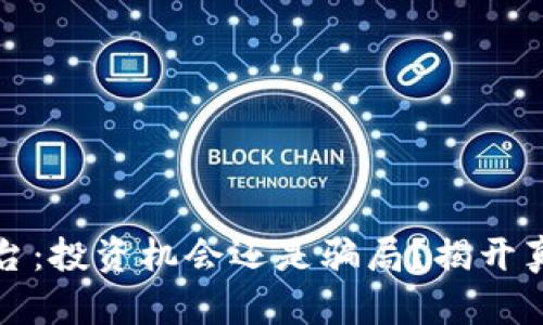 区块链平台：投资机会还是骗局？揭开真相的面纱
