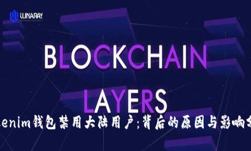 Tokenim钱包禁用大陆用户：背后的原因与影响分析
