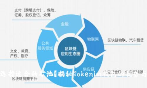 如何选择适合的矿池？揭秘Tokenim钱包的优势与挑战