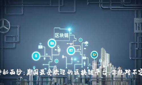 揭开神秘面纱：美国最受欢迎的区块链平台，你绝对不容错过！