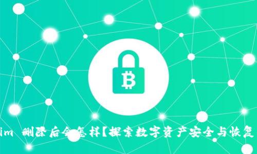 Tokenim 删除后会怎样？探索数字资产安全与恢复的秘密