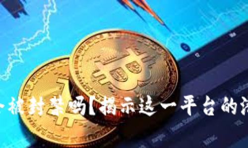 Tokenim究竟会被封禁吗？揭示这一平台的潜在风险与前景