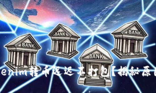 为何你的Tokenim转币迟迟不打包？揭秘原因与解决方案