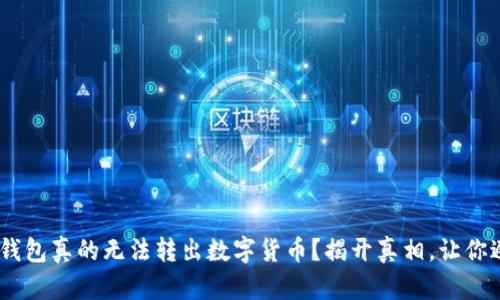 Tokenim钱包真的无法转出数字货币？揭开真相，让你避免损失！