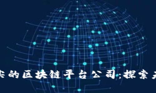 揭秘全球最顶尖的区块链平台公司：探索未来的科技先锋
