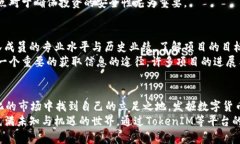   如何成功发币？揭秘TokenIM背后的投资机遇与挑