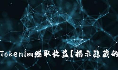 如何通过Tokenim赚取收益？揭示隐藏的投资机会