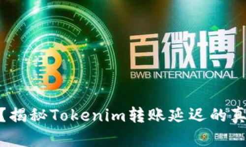体验最慢转账？揭秘Tokenim转账延迟的真相与应对策略