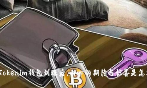 你的Tokenim钱包到账后，内心的期待与惊喜是怎样的？