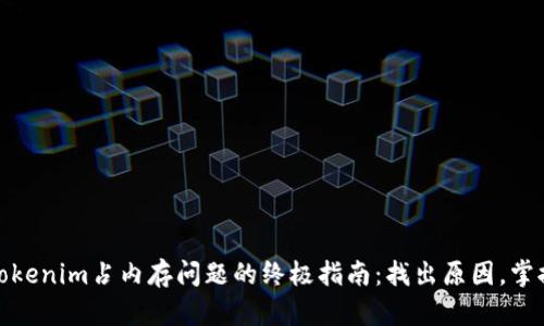处理Tokenim占内存问题的终极指南：找出原因，掌握技巧