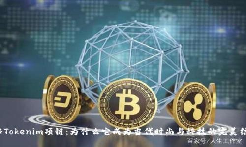 揭秘Tokenim项链：为什么它成为当代时尚与科技的完美结合？