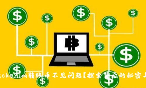 如何解决tokenim转账币不见问题？探索背后的秘密与解决方案