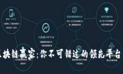 揭秘区块链赢家：你不可错过的领先平台与应用