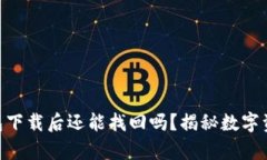 Tokenim钱包下载后还能找回吗？揭秘数字资产安全