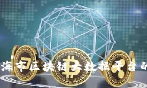 拥抱未来：上海市区块链大数据平台的奇迹与机遇