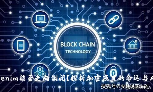 Tokenim能否走向倒闭？探析加密项目的命运与风险