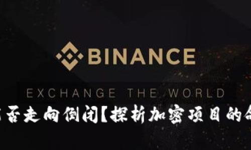 Tokenim能否走向倒闭？探析加密项目的命运与风险