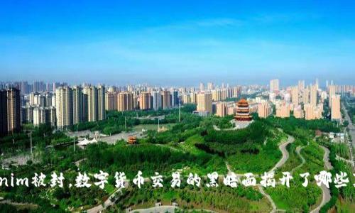 Tokenim被封，数字货币交易的黑暗面揭开了哪些真相？