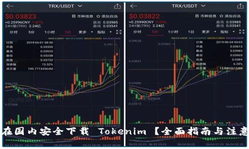 如何在国内安全下载 Tokenim ？全面指南与注意事项