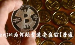 揭秘：TokenIM为何频繁遭受盗窃？普通用户必看！