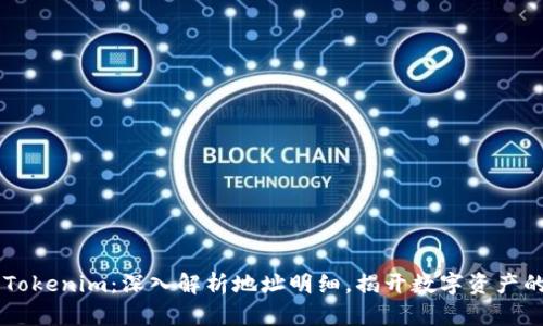 了解Tokenim：深入解析地址明细，揭开数字资产的秘密