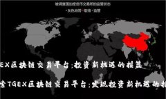 TGEX区块链交易平台：投资新机遇的摇篮探索TGE