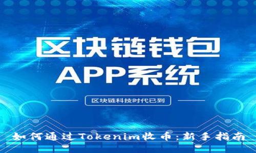 如何通过Tokenim收币：新手指南