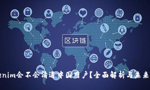 Tokenim会不会清退中国用户？全面解析与未来展望