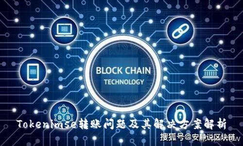 Tokenimse转账问题及其解决方案解析