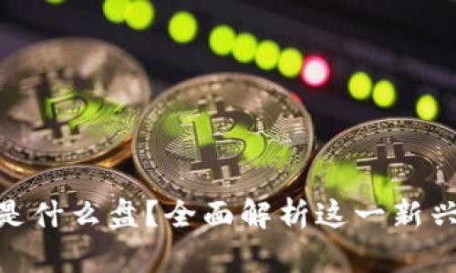 Tokenim是什么盘？全面解析这一新兴交易平台