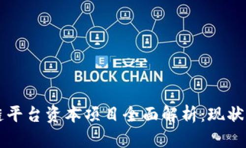 区块链平台资本项目全面解析：现状与未来
