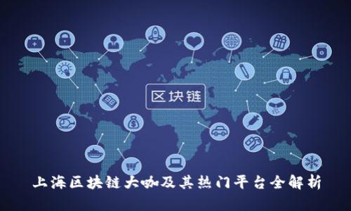 上海区块链大咖及其热门平台全解析