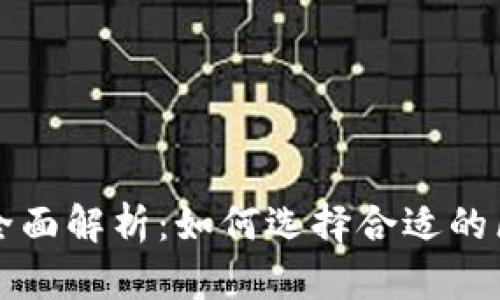 区块链平台的全面解析：如何选择合适的区块链解决方案