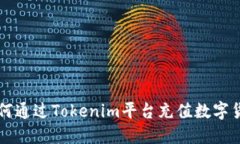如何通过Tokenim平台充值数字货币