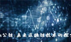 :Tokenim公链：未来区块链技术的探索与实践