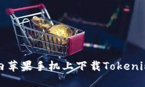 如何在国内苹果手机上下载Tokenim应用程序